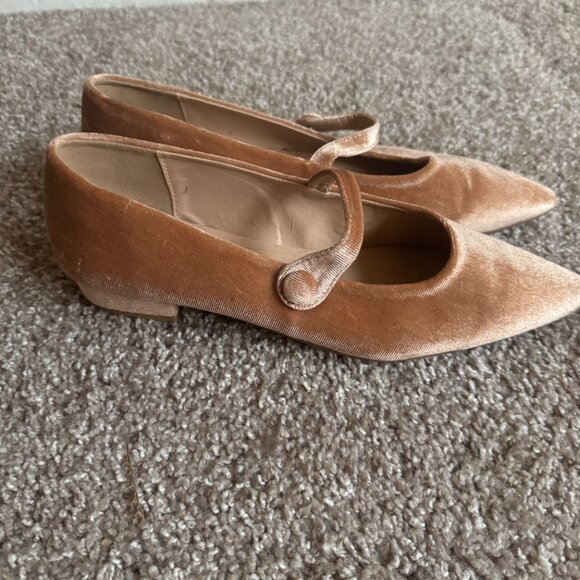 Licon Champagne Velvet Buckle Pointed-Toe Ballet Flats - Picture 3 of 4